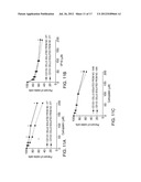 CANCER STEM CELL ANTIGEN VACCINES AND METHODS diagram and image