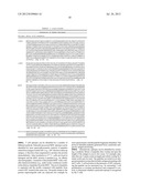 CANCER STEM CELL ANTIGEN VACCINES AND METHODS diagram and image