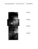 Laminate Materials and Dilatant Compounds for Ballistic Shielding diagram and image