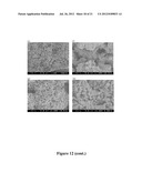 ALPHA ALUMINA (CORUNDUM) WHISKERS AND FIBROUS-POROUS CERAMICS AND METHOD     OF PREPARING THEREOF diagram and image