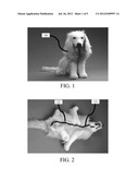FLEXIBLE AND RIGID ENDOSCOPIC TRAINING DEVICE (FRED) diagram and image