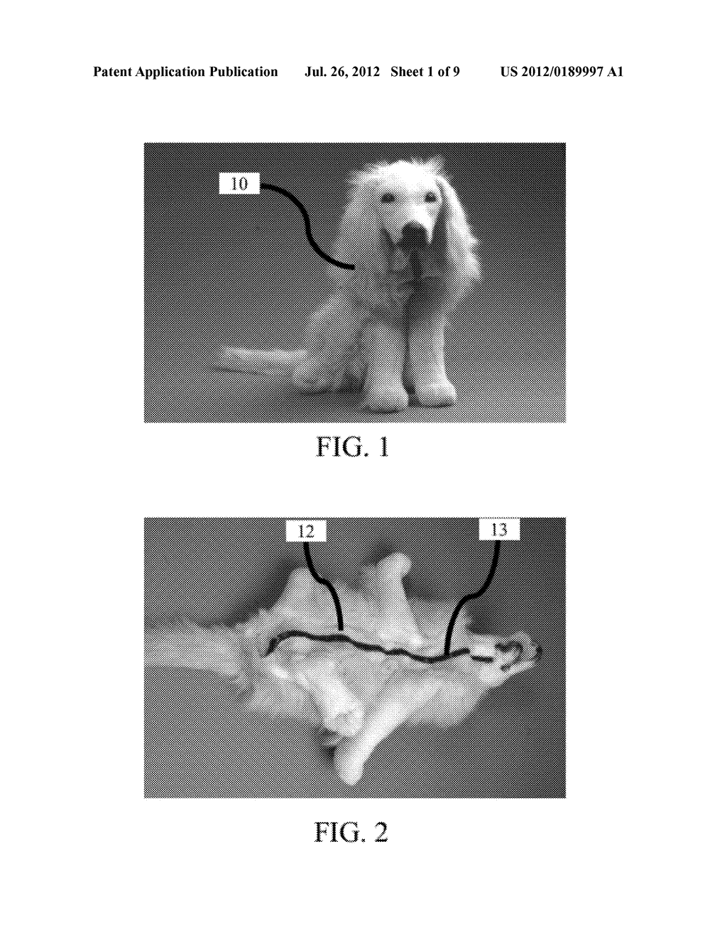 FLEXIBLE AND RIGID ENDOSCOPIC TRAINING DEVICE (FRED) - diagram, schematic, and image 02