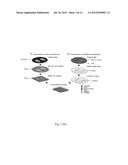 METHOD AND SYSTEM FOR MONITORING AND RECORDING A VIRAL INFECTION PROCESS     AND THAT FOR SCREENING VACCINES diagram and image