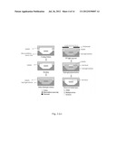 METHOD AND SYSTEM FOR MONITORING AND RECORDING A VIRAL INFECTION PROCESS     AND THAT FOR SCREENING VACCINES diagram and image