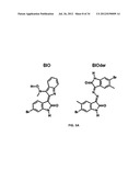 Viral Modulators and Processes Thereof diagram and image