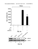 Viral Modulators and Processes Thereof diagram and image