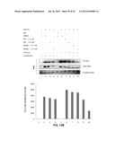 Viral Modulators and Processes Thereof diagram and image