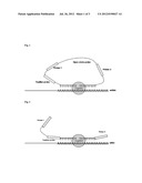 LIGATION-BASED METHOD OF NORMALIZED QUANTIFICATION OF NUCLEIC ACIDS diagram and image