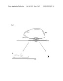 LIGATION-BASED METHOD OF NORMALIZED QUANTIFICATION OF NUCLEIC ACIDS diagram and image