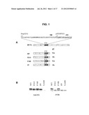 Peptide Inhibitors of ABL Kinases diagram and image