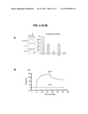 Peptide Inhibitors of ABL Kinases diagram and image