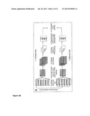 CANCER BIOMARKER AND THE USE THEREOF diagram and image