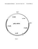  HOST CELL FOR THE PRODUCTION OF A COMPOUND OF INTEREST diagram and image