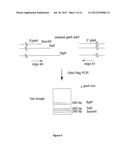  HOST CELL FOR THE PRODUCTION OF A COMPOUND OF INTEREST diagram and image