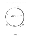  HOST CELL FOR THE PRODUCTION OF A COMPOUND OF INTEREST diagram and image