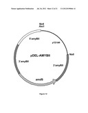  HOST CELL FOR THE PRODUCTION OF A COMPOUND OF INTEREST diagram and image