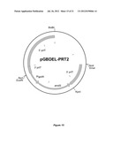  HOST CELL FOR THE PRODUCTION OF A COMPOUND OF INTEREST diagram and image