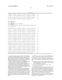 O-PHOSPHOSERINE SULFHYDRYLASE MUTANTS AND METHOD FOR PRODUCTION OF     CYSTEINE USING THE SAME diagram and image