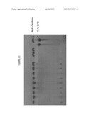 PREPARATION OF 1,4-DIAMINOBUTANE diagram and image