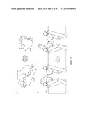 Photoreactive Regulator of Protein Function and Methods of Use Thereof diagram and image