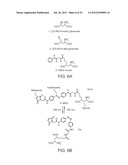 Photoreactive Regulator of Protein Function and Methods of Use Thereof diagram and image