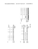 Photoreactive Regulator of Protein Function and Methods of Use Thereof diagram and image