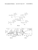 FLUOROGENIC COMPOUNDS CONVERTED TO FLUOROPHORES BY PHOTOCHEMICAL OR     CHEMICAL MEANS AND THEIR USE IN BIOLOGICAL SYSTEMS diagram and image