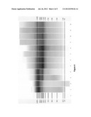 MICROFLUIDIC TRANSDUCER diagram and image