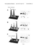 MEANS AND METHODS FOR DIAGNOSING ENDOMETRIOSIS diagram and image