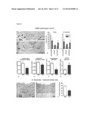 TREATMENT OF PATIENTS AFTER STENT IMPLANTATION OR BALLOON DILATATION AND     DRUG ELUTING STENTS diagram and image