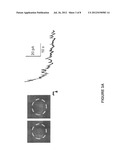 Combination of Single-Cell Electroporation and Electrical Recording Using     the Same Electrode diagram and image