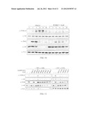 SELECTIVE INHIBITORS OF AKT AND METHODS OF USING SAME diagram and image