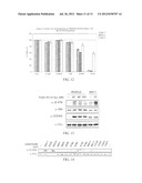 SELECTIVE INHIBITORS OF AKT AND METHODS OF USING SAME diagram and image