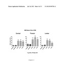 COMPOSITIONS AND METHODS FOR MODULATION OF SMN2 SPLICING IN A SUBJECT diagram and image