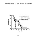 COMPOSITIONS AND METHODS FOR MODULATION OF SMN2 SPLICING IN A SUBJECT diagram and image