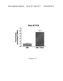COMPOSITIONS AND METHODS FOR MODULATION OF SMN2 SPLICING IN A SUBJECT diagram and image