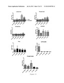 COMPOSITIONS AND METHODS FOR MODULATION OF SMN2 SPLICING IN A SUBJECT diagram and image