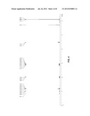 HALF-METALLOCENE COMPOUNDS AND CATALYST COMPOSITIONS diagram and image