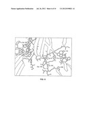 RECOMBINANT SOLUBLE FC RECEPTORS diagram and image