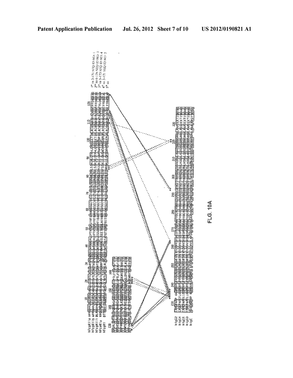 RECOMBINANT SOLUBLE FC RECEPTORS - diagram, schematic, and image 08