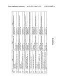 ANTIGEN BINDING PROTEINS CAPABLE OF BINDING THYMIC STROMAL LYMPHOPOIETIN diagram and image