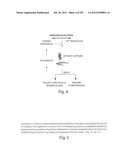 APTAMERS TO TISSUE FACTOR PATHWAY INHIBITOR AND THEIR USE AS BLEEDING     DISORDER THEREAPEUTICS diagram and image