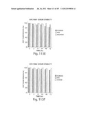 APTAMERS TO TISSUE FACTOR PATHWAY INHIBITOR AND THEIR USE AS BLEEDING     DISORDER THEREAPEUTICS diagram and image