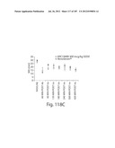 APTAMERS TO TISSUE FACTOR PATHWAY INHIBITOR AND THEIR USE AS BLEEDING     DISORDER THEREAPEUTICS diagram and image