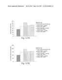 APTAMERS TO TISSUE FACTOR PATHWAY INHIBITOR AND THEIR USE AS BLEEDING     DISORDER THEREAPEUTICS diagram and image