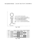 APTAMERS TO TISSUE FACTOR PATHWAY INHIBITOR AND THEIR USE AS BLEEDING     DISORDER THEREAPEUTICS diagram and image