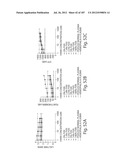 APTAMERS TO TISSUE FACTOR PATHWAY INHIBITOR AND THEIR USE AS BLEEDING     DISORDER THEREAPEUTICS diagram and image