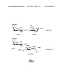 PORPHYRANASES, AND USE THEREOF FOR HYDROLYZING POLYSACCHARIDES diagram and image