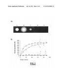 PORPHYRANASES, AND USE THEREOF FOR HYDROLYZING POLYSACCHARIDES diagram and image