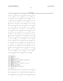 PORPHYRANASES, AND USE THEREOF FOR HYDROLYZING POLYSACCHARIDES diagram and image